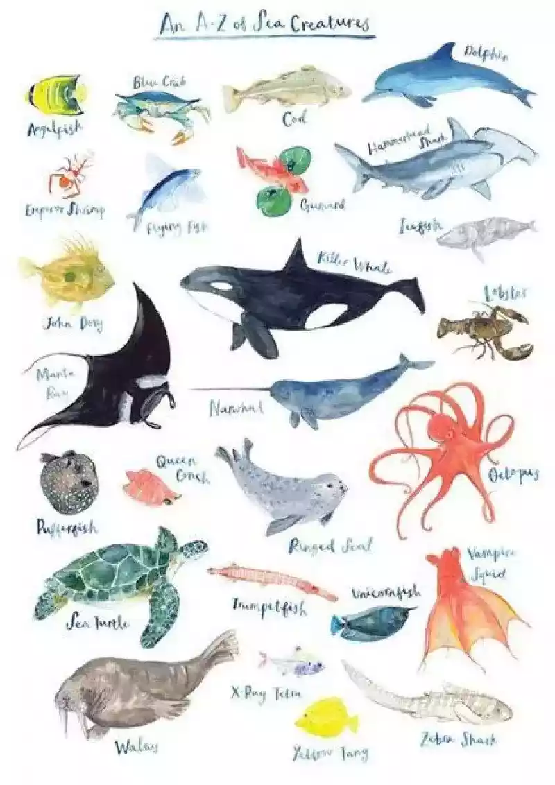 Under the Sea Exploration Art Sessions