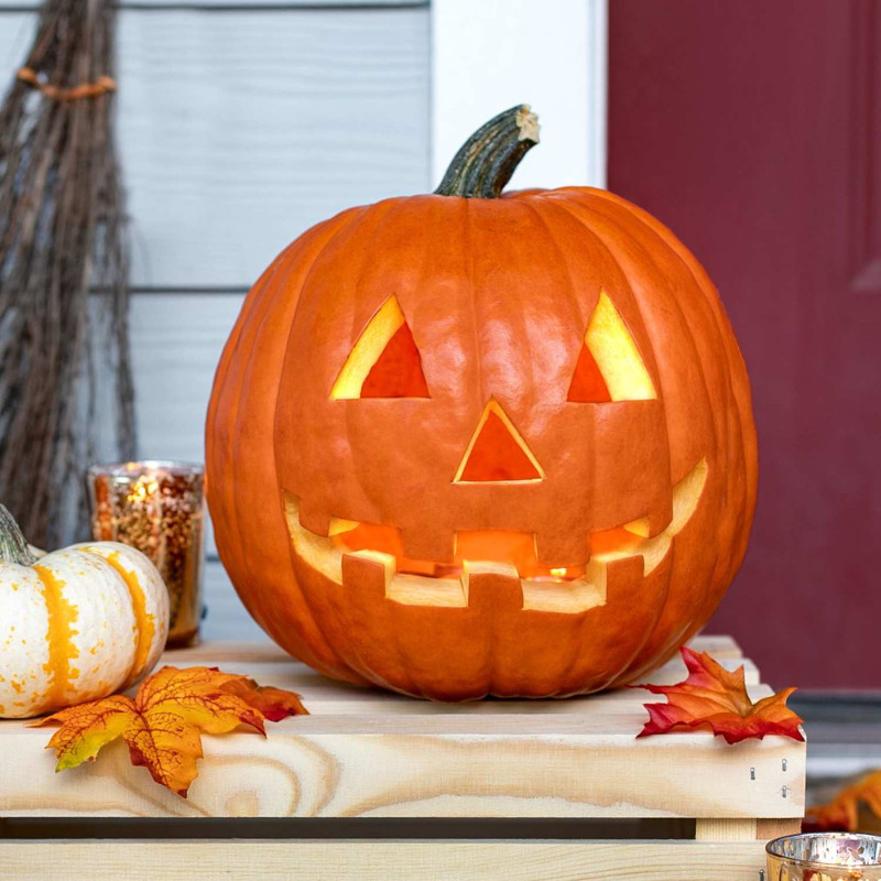 Spooky Pumpkin Carve and Feast