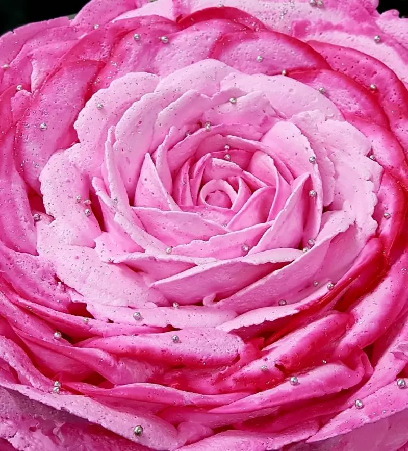 CAKE MAKING WORKSHOP (LEVEL 2)