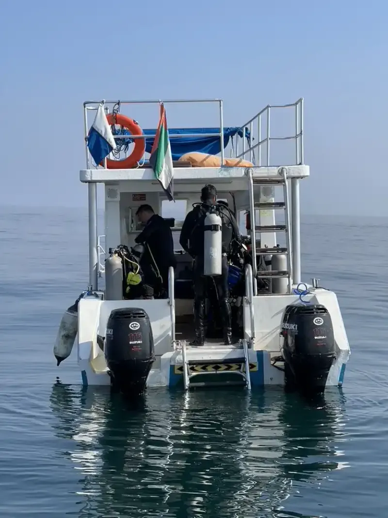 Discover Scuba Diving (Dibba Al Fujairah)